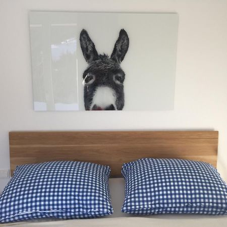 Exklusive Ferienwohnung Am Prielerweg In Hinterstoder Extérieur photo