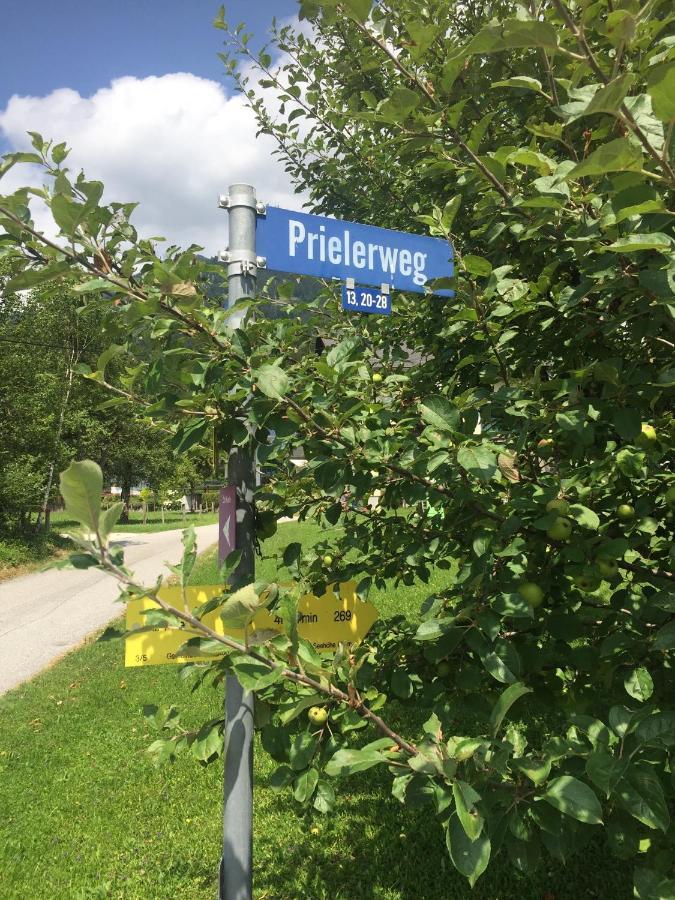 Exklusive Ferienwohnung Am Prielerweg In Hinterstoder Extérieur photo